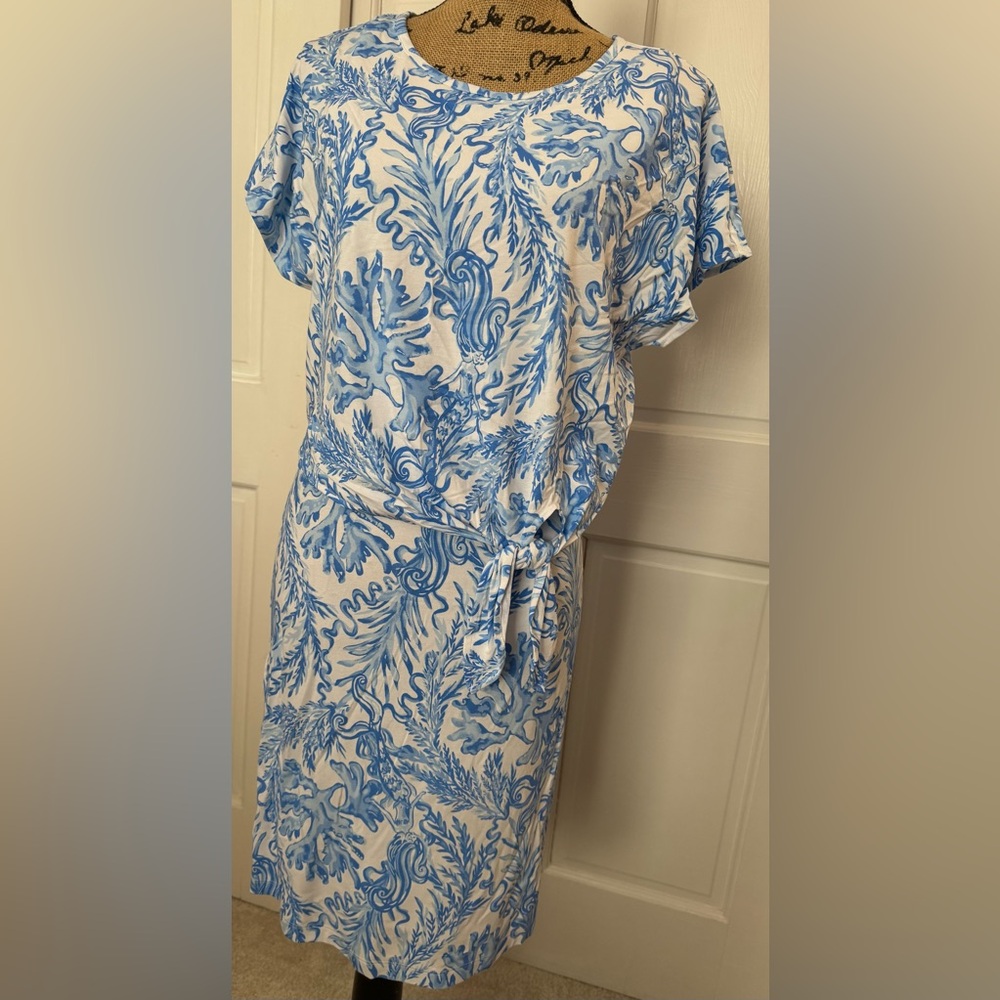 Lilly Pulitzer Blue and White Sheath Dress with Dolman Sleeves